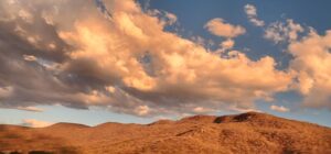 fotos-mariabo-lopes-bonamigo (12)