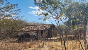 fotos-mariabo-lopes-bonamigo (5)